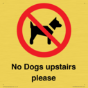no-dogs-upstairs-please-~